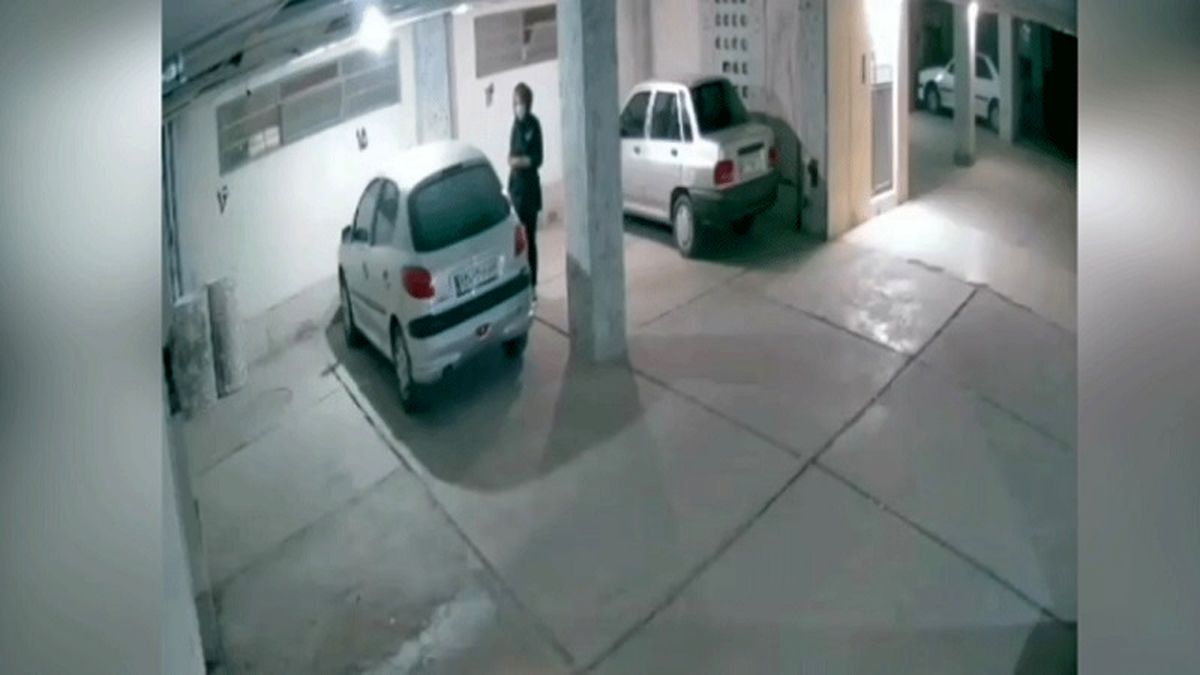 ببینید | سرقت ماهرانه از ۲۰۶ توسط زن جوان
