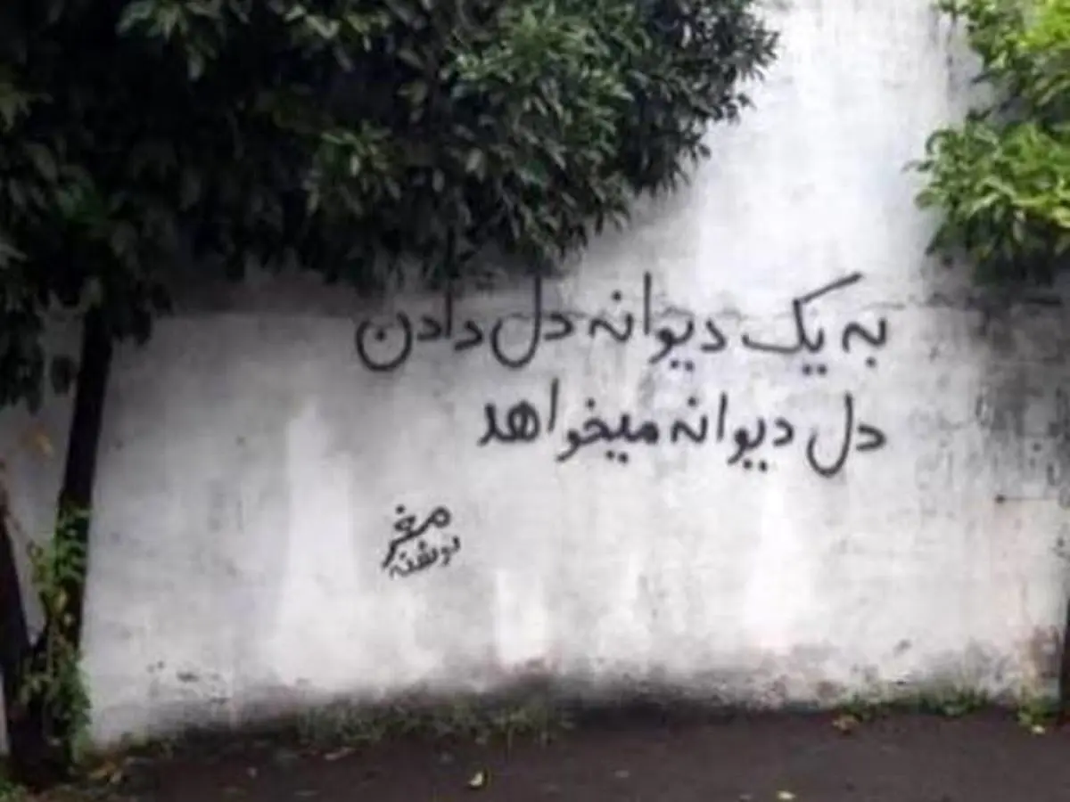 سوژه‌ها و عکس‌های فان هفته کاربران در فضای مجازی