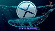 هجوم نهنگ‌ها و انباشت ۱۷۰ میلیون ریپل در کف قیمت؛ روند نزولی XRP متوقف می‌شود؟