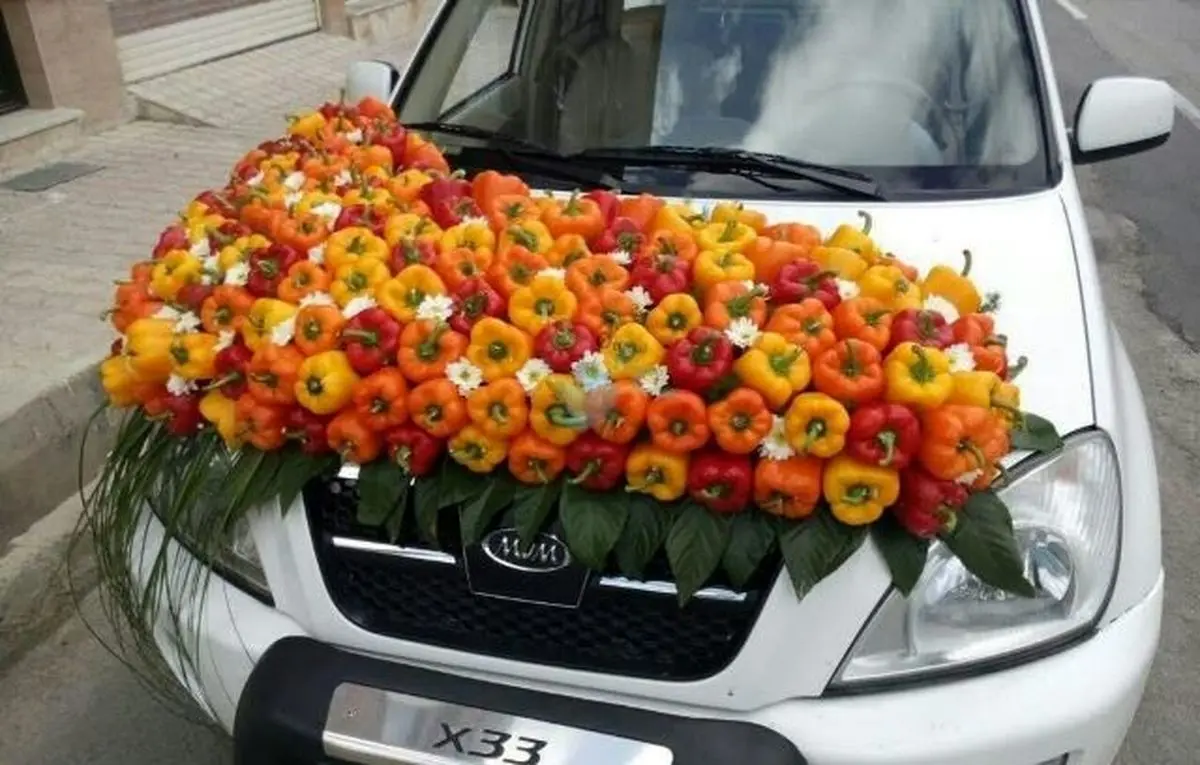 عکس‌ها و سوژه‌های فان کاربران در فضای مجازی