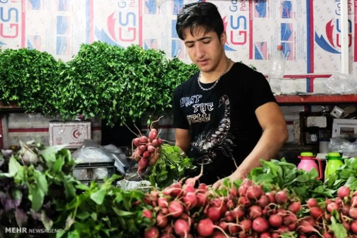 تک‌نگاری | ورژن جدید عمو سبزی‌فروش