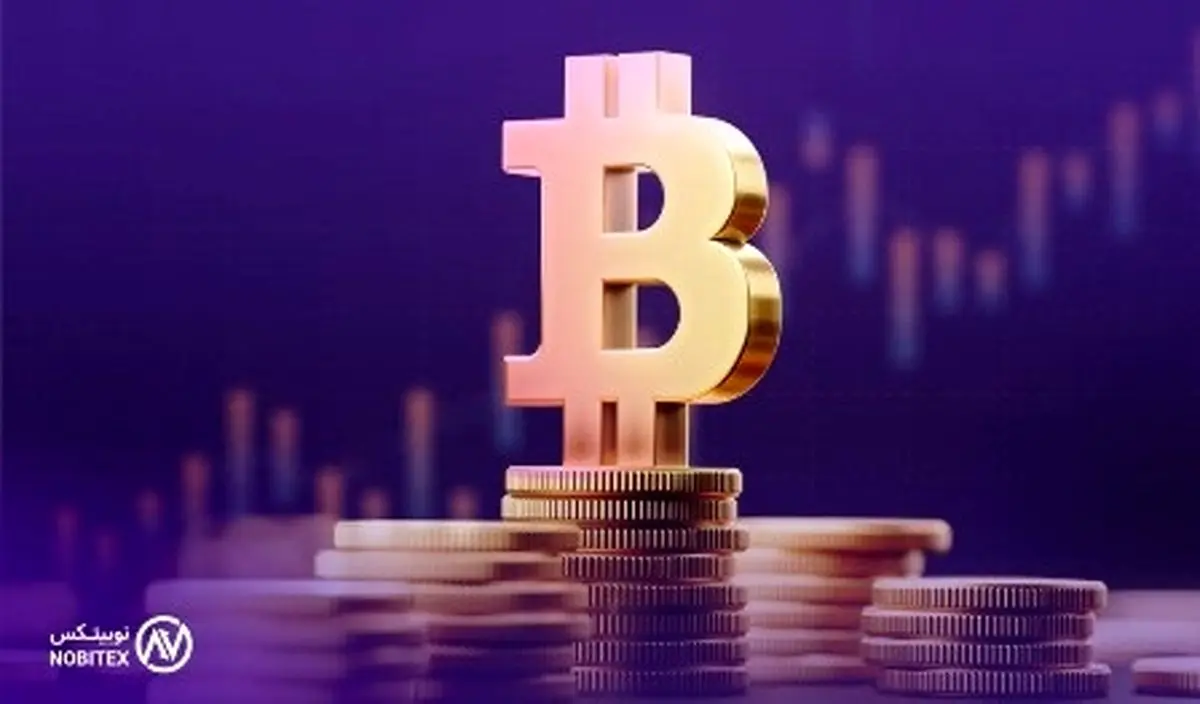 روایتی هیجان‌انگیز از نخستین تراکنش بیت‌کوین