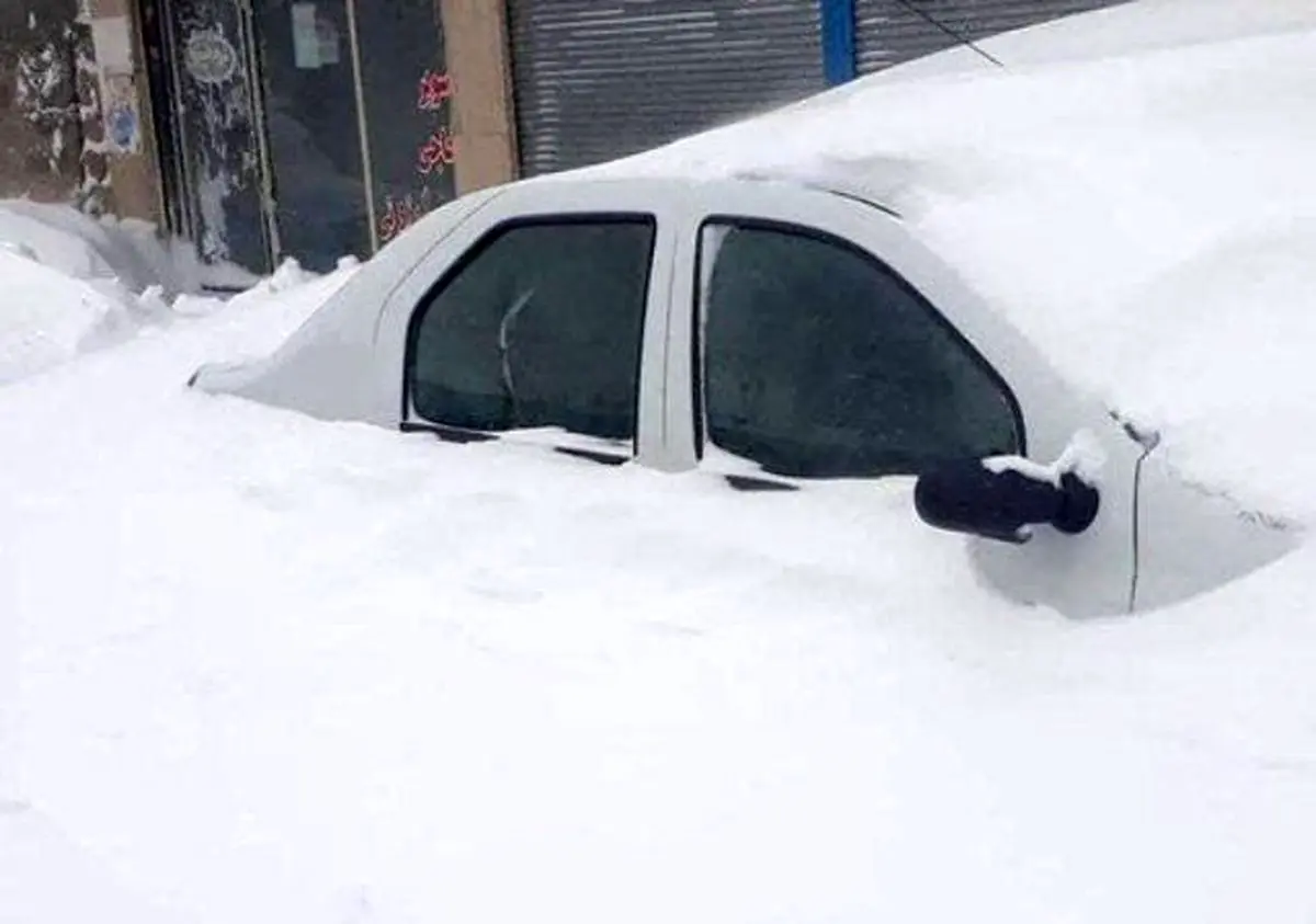 سوژه هفته| گربه‌ای در سوکت شارژر