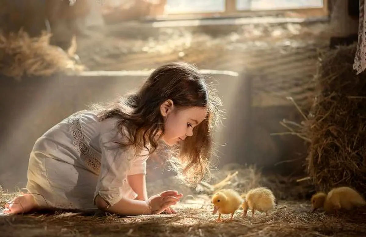 تک‌نگاری| جوجه‌ای در کار نیست