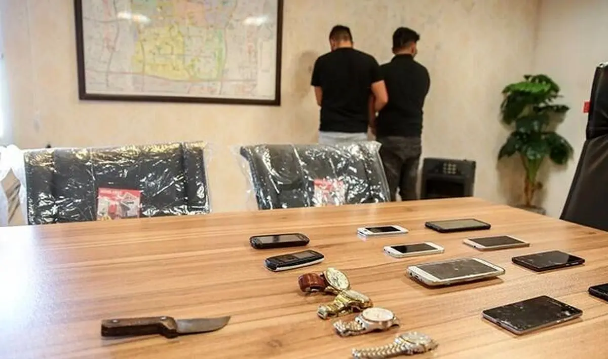 ببینید | دستمزد ۴ میلیون تومانی یک سارق برای هر بار سرقت