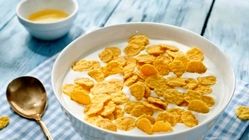 دانه‌های پولکی‌ گندم که صبحانه را متحول کردند