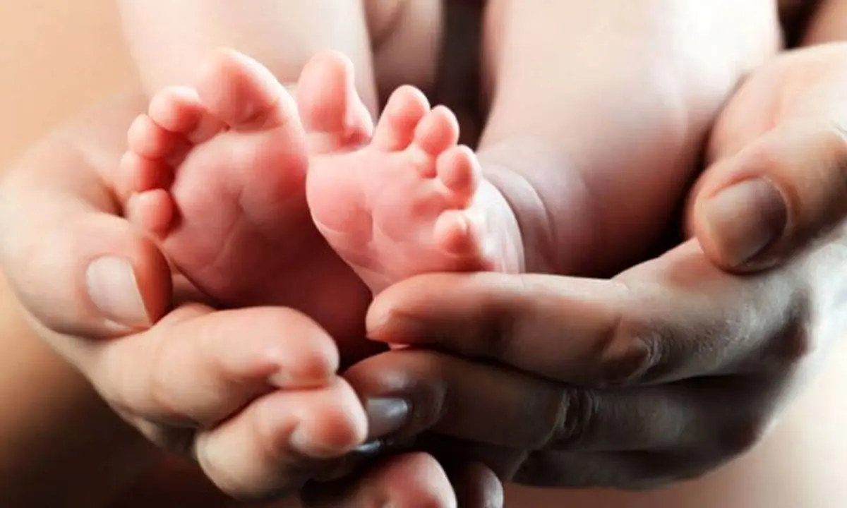 با داشتن ۳ فرزند هم می‌توانید صاحب زمین شوید