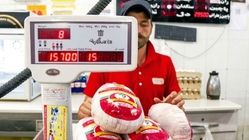 درجه‌بندی مرغ یعنی چه؟