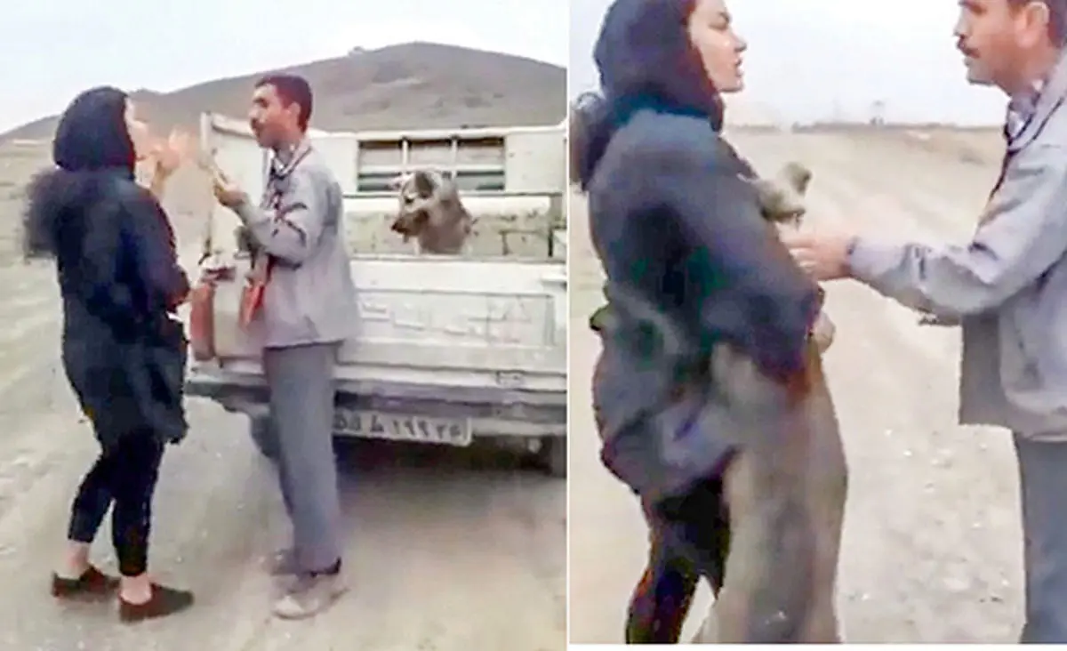 ماجرای ویدئوی جنجالی زن جوان و سگ پشت ‌وانت