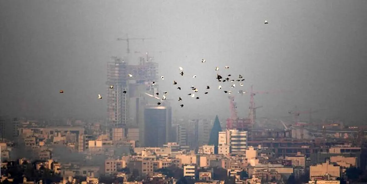 خدایا خودت رحم کن؛ همه‌چیز درباره بحران ناگهانی گردوخاک