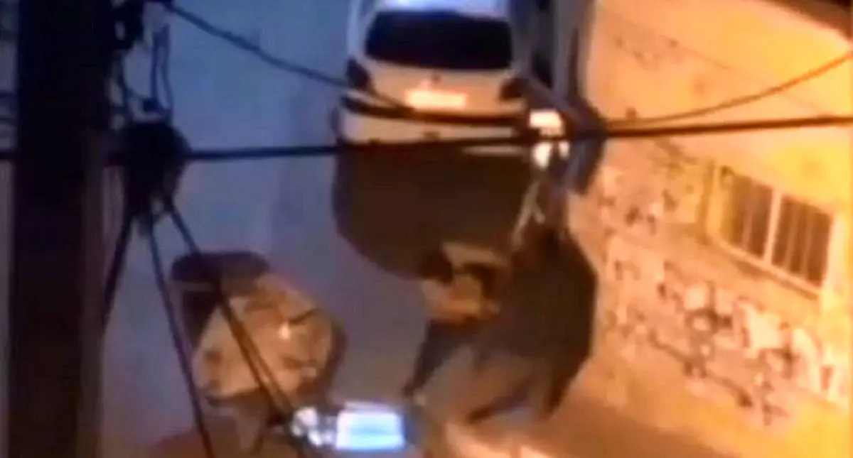 ویدئو | لحظه سرقت تابلو راهنمایی و رانندگی