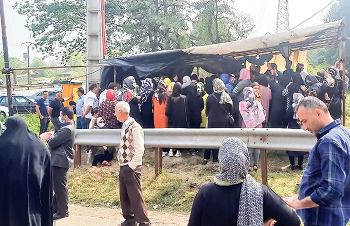 حافظان جنگل در‌ ۳۰ کیلومتری رشت