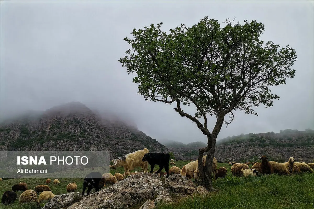 بسته خبری | دردسرهای پرویز پرستویی در لس‌آنجلس