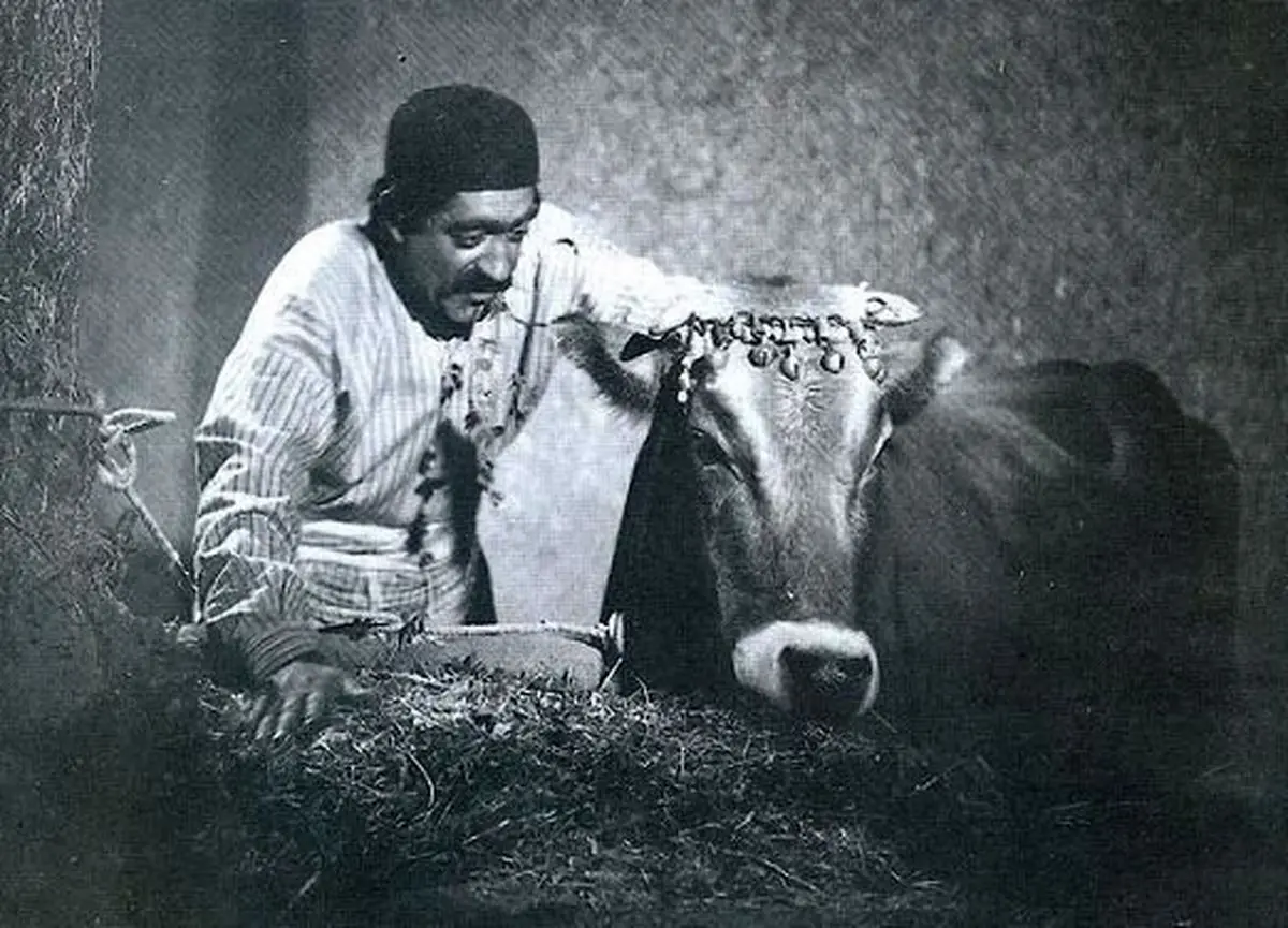 فیلم گاو جشنواره سوییسی را افتتاح می‌کند