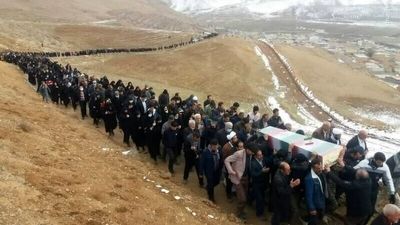کشف لاشه یک قلاده فوک خزری در سواحل نور مازندران