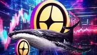 واکنش نهنگ‌ها به خرید CZ؛ ASTER با فشار فروش ۷۱ میلیون دلاری مواجه شد