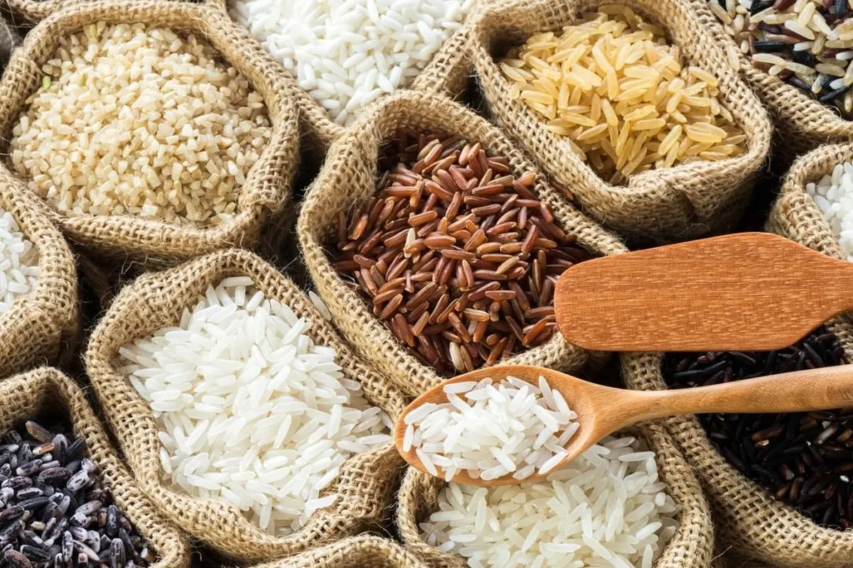 نرخ مالیات ارزش افزوده ۱۳ کالای اساسی یک درصد شد