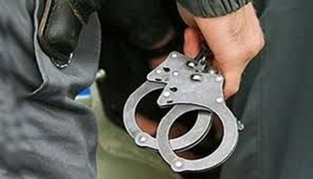 بازداشت یک تبعه سوئدی به اتهام جاسوسی