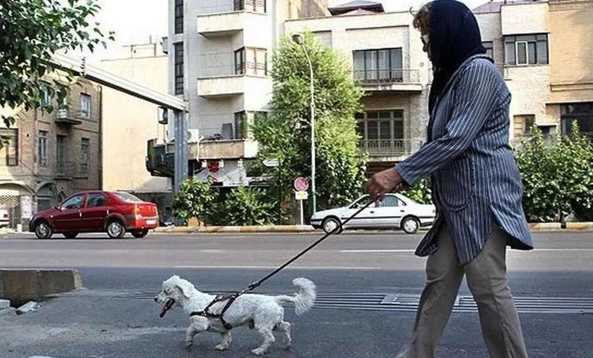 سخنگوی فراجا: اگر سگِ همسایه مزاحم است اطلاع دهید