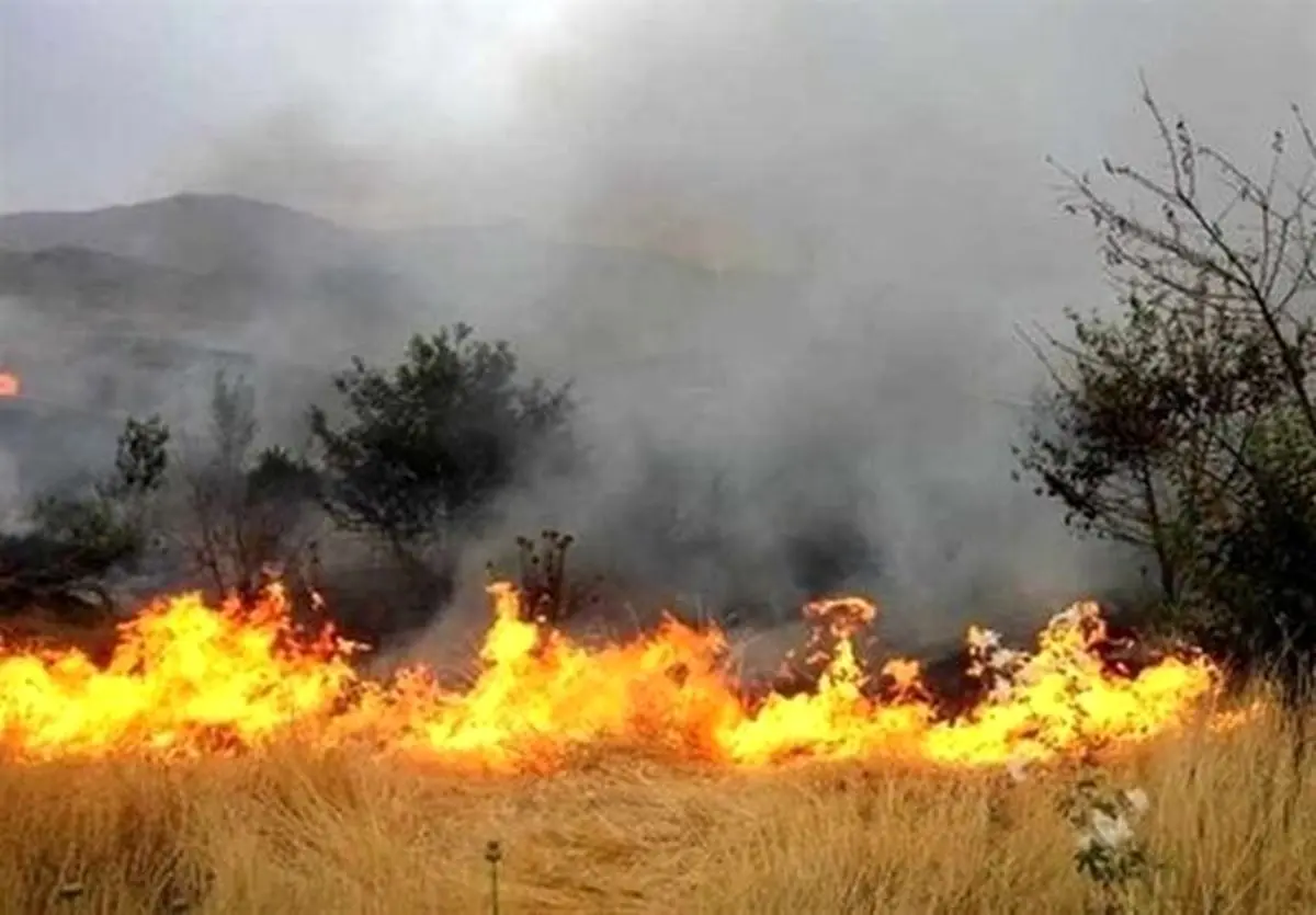 جنگل‌های گچساران آتش گرفتند