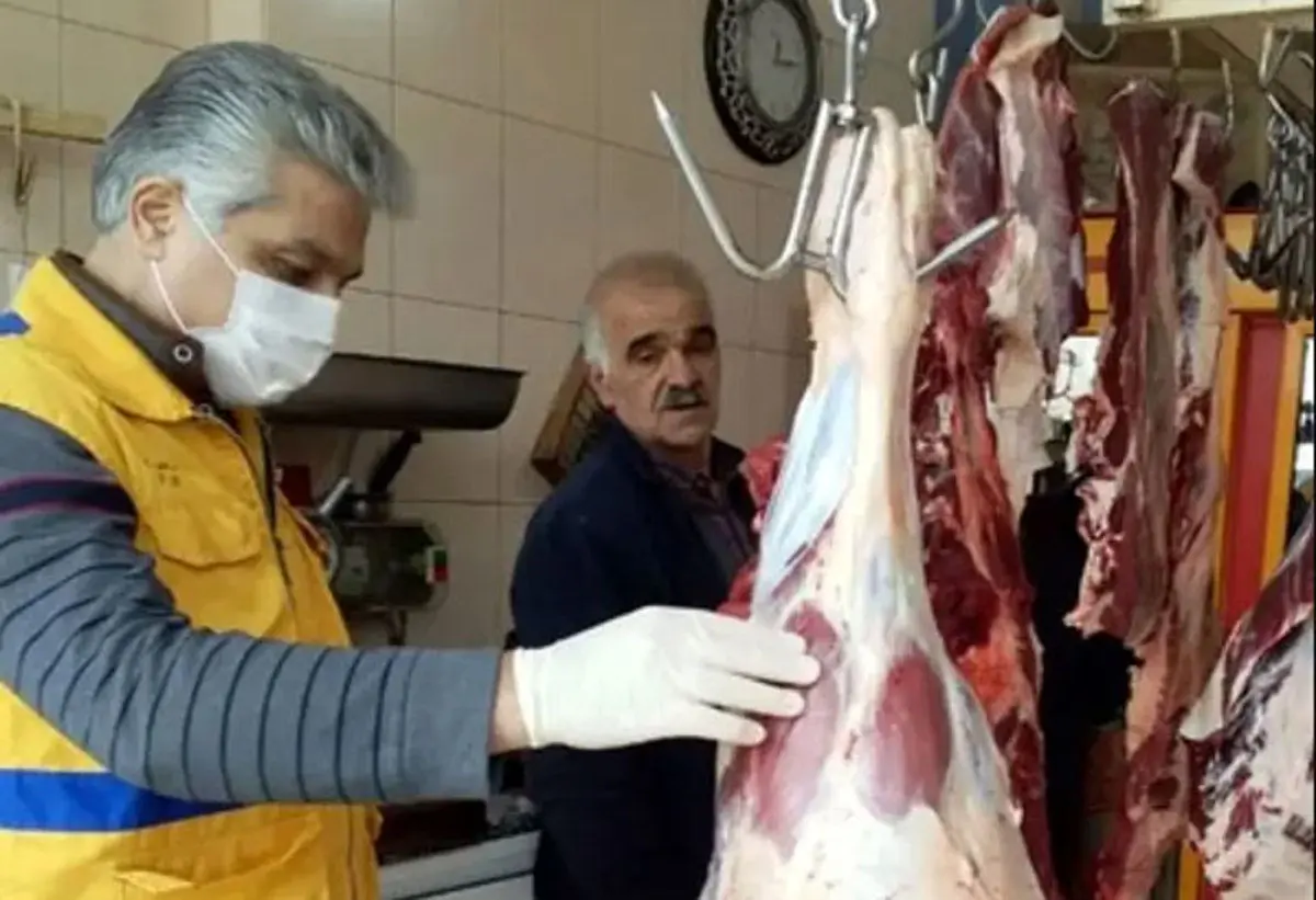 حجم تخلف فروش گوشت الاغ و اسب نگران‌کننده نیست!