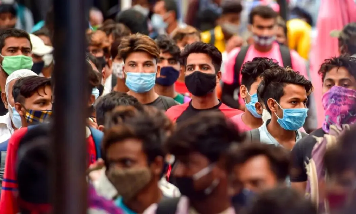 ویروس آنفلوانزای گوجه فرنگی چقدر مرگ‌بار است؟