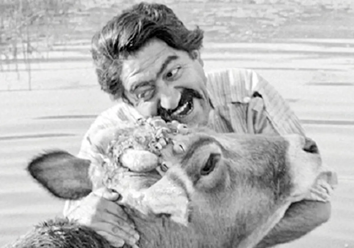 درباره «گاو» که نقشی‌تاریخ‌ساز در سینمای معاصر دارد