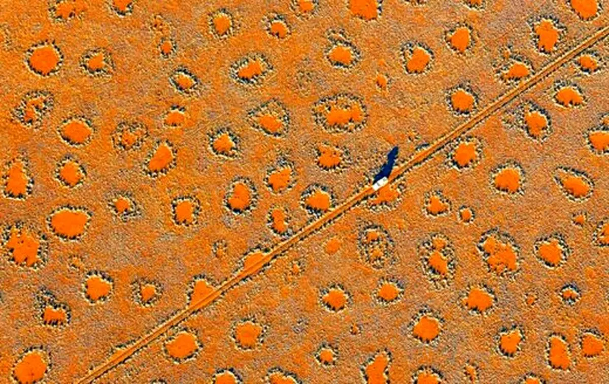 عکس | حل معمای دایره‌های جادویی در بیابان نامیب