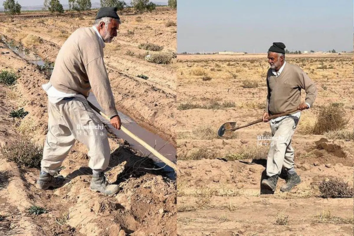 درباره‌ کشاورز شدن محمود حجتی و چند اصلاح‌طلب دیگر
