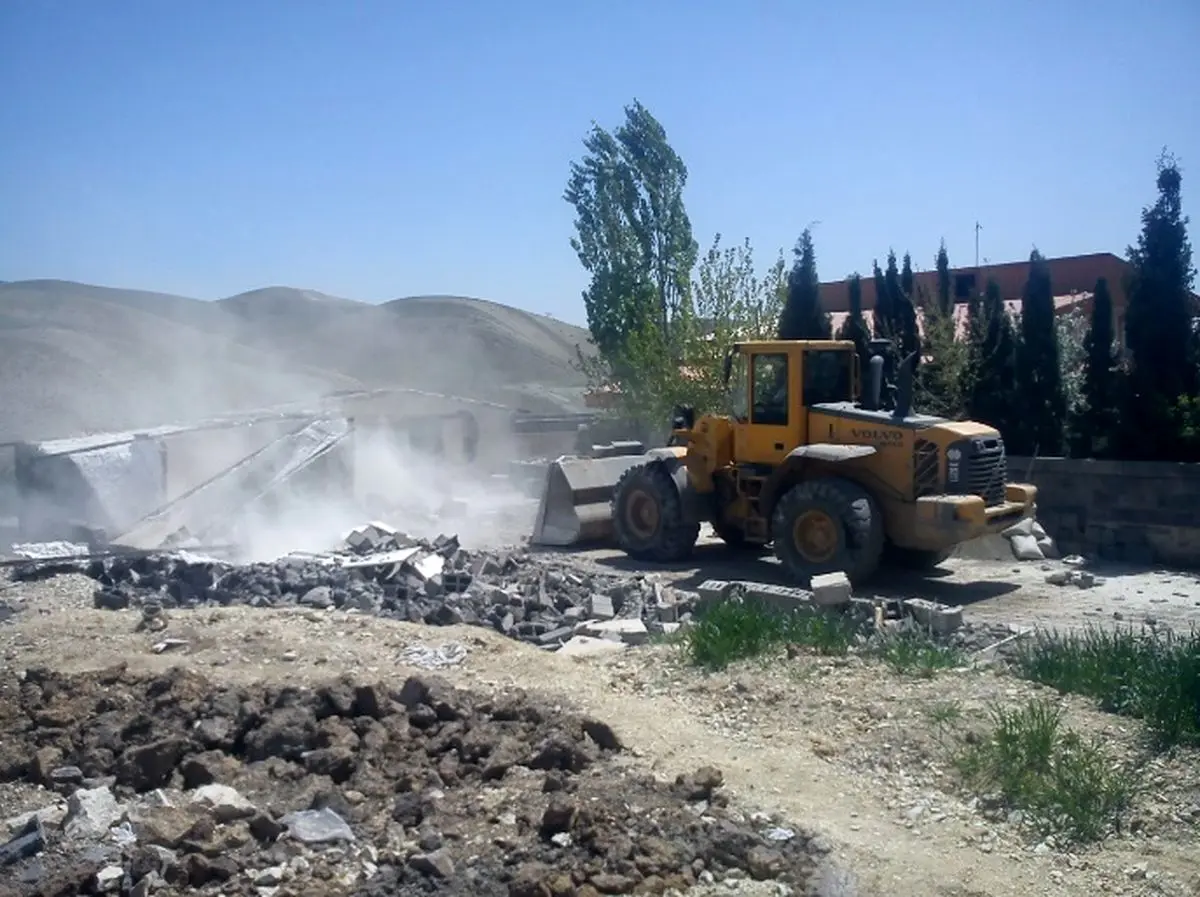 شگرد جدید زمین خواری: انتقال و کاشت درخت شش ساله برای اثبات مالکیت!