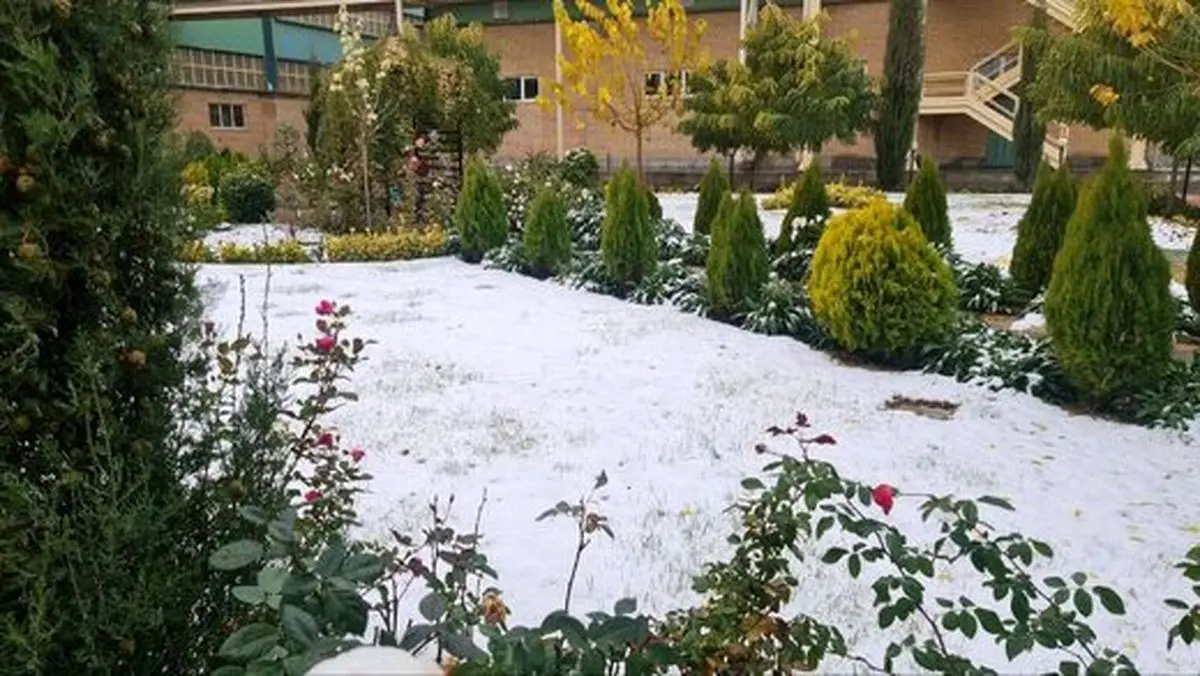 هوای تهران سردتر می‌شود؟