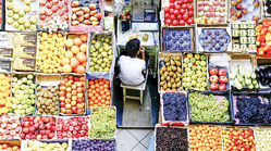 اسرار بازار میوه در فصل سرد زمستان