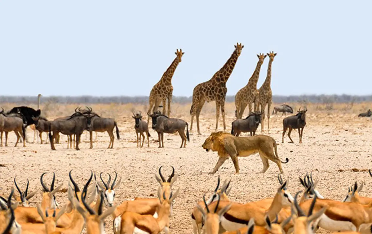 بازی‌هایی که شما را در نقش یک عکاس قرار می‌دهند