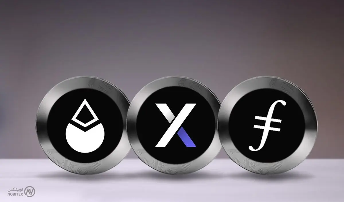 فایل کوین، لیدو دائو و دی وای دی ایکس در نوبیتکس