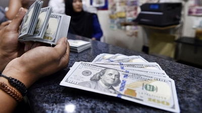 قیمت جدید دلار، یورو و درهم در بازار رسمی/ قیمت دلار باز هم ریخت