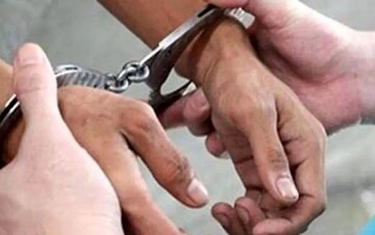 استرداد متهم پرونده کلاهبرداری ۱۰۰ میلیاردی به کشور