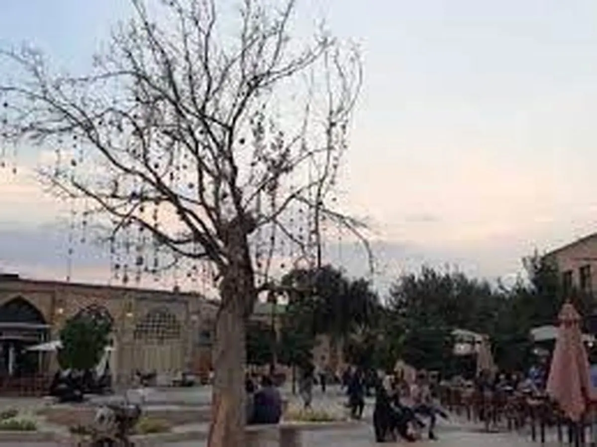 ماجرای قطع درخت آرزوها در شیراز چه بود؟