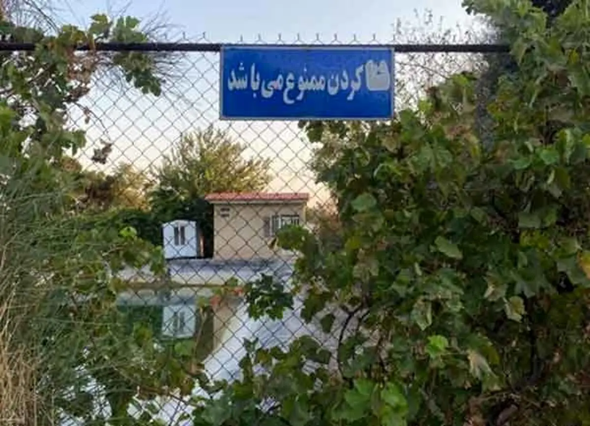 علت مرگ دو کودک درمخازن دفنی بوستان زیتون چه بود؟