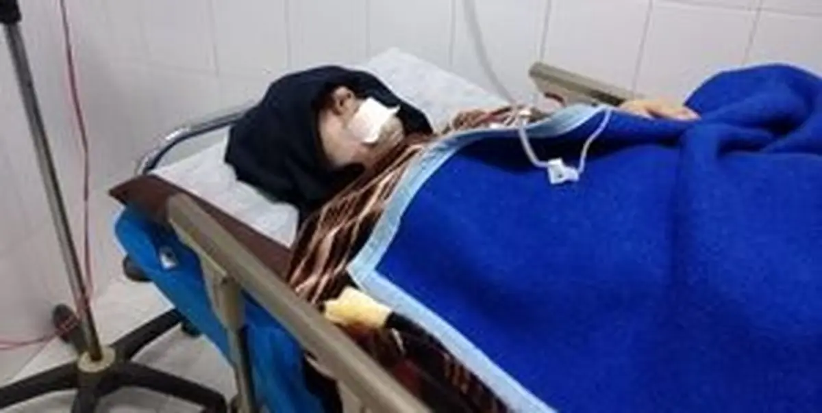 مصدوم شدن ۴ نفر بر اثر حمله ۳ قلاده گرگ در نجف‌آباد