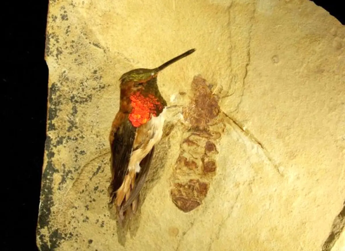 غول‌پیکرترین مورچه‌ای که روی زمین زندگی کرده است