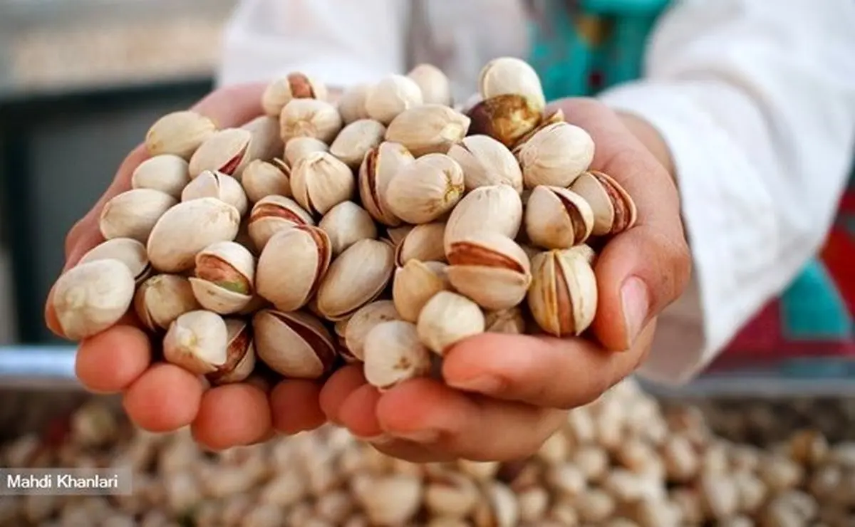 رابطه مرموز‌ دلار‌ با‌ موز‌ و‌ پسته