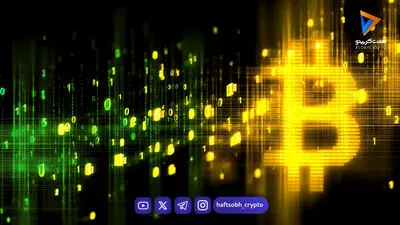  لایتنینگ چیست و چطور از آن استفاده کنیم؟ 
