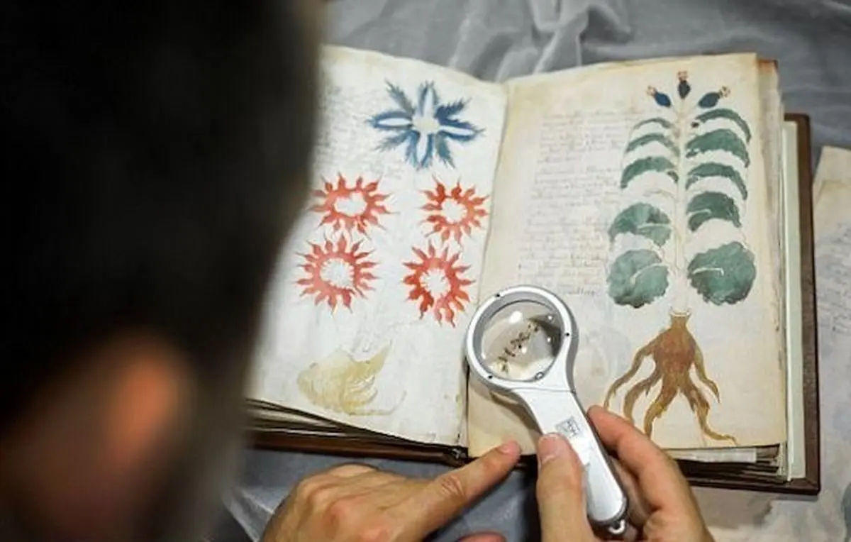 مردم قرون وسطی به چه می‌خندیدند؟