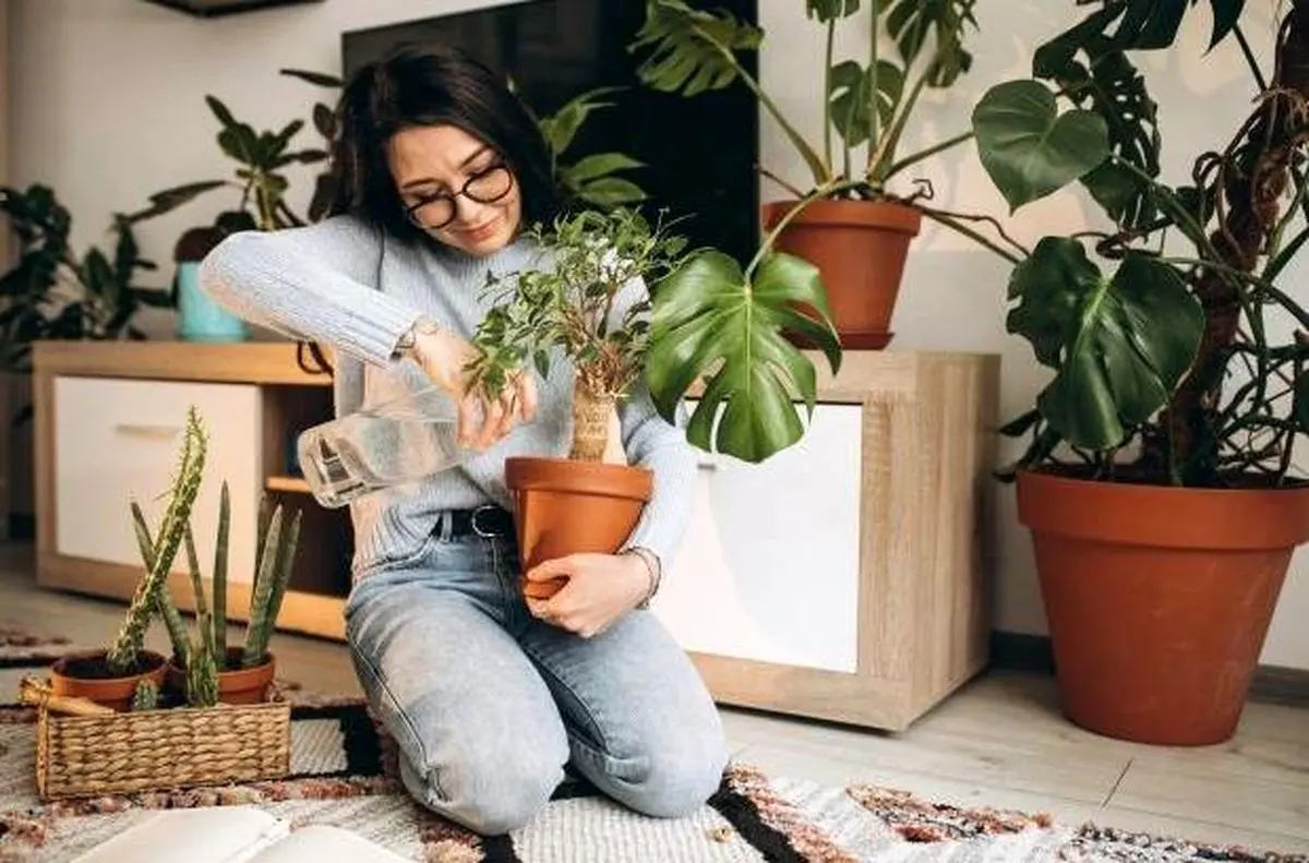 یادداشت| بارش پراکنده 5