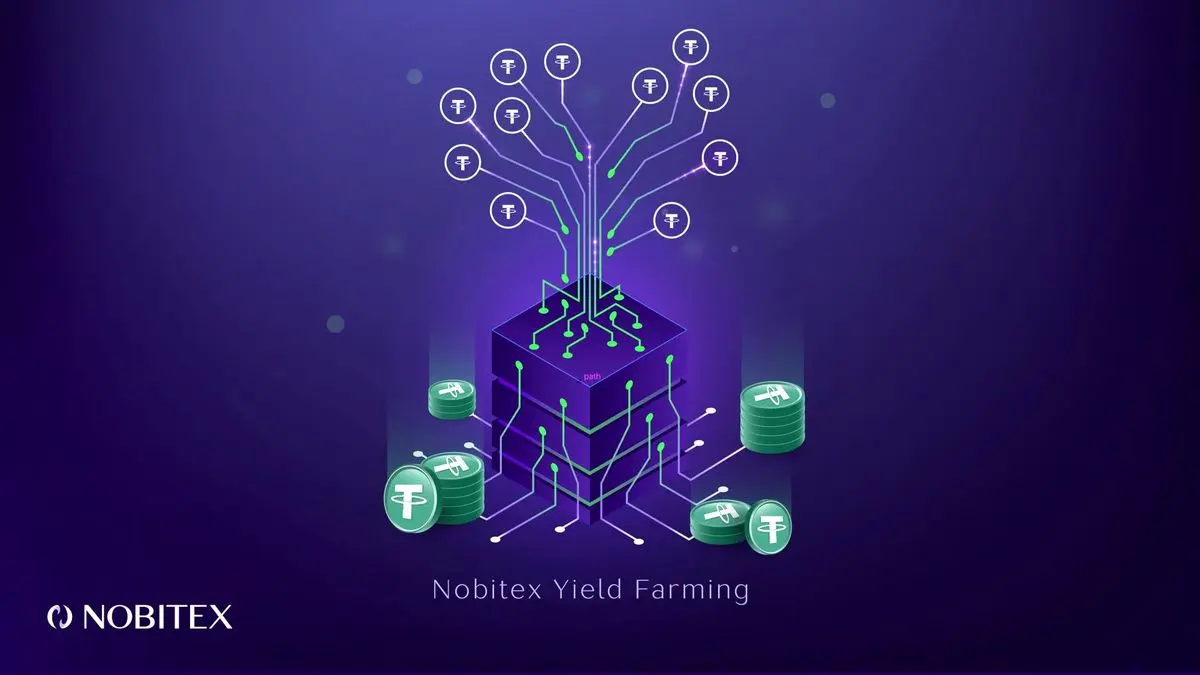 ییلدفارمینگ راهی برای کسب درآمد بیشتر در نوبیتکس