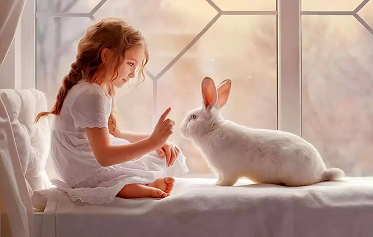 یادداشت| برادرم در ازای خرگوش!