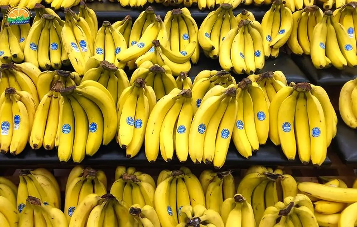 چه وقتی از روز اجازه داریم موز بخوریم؟