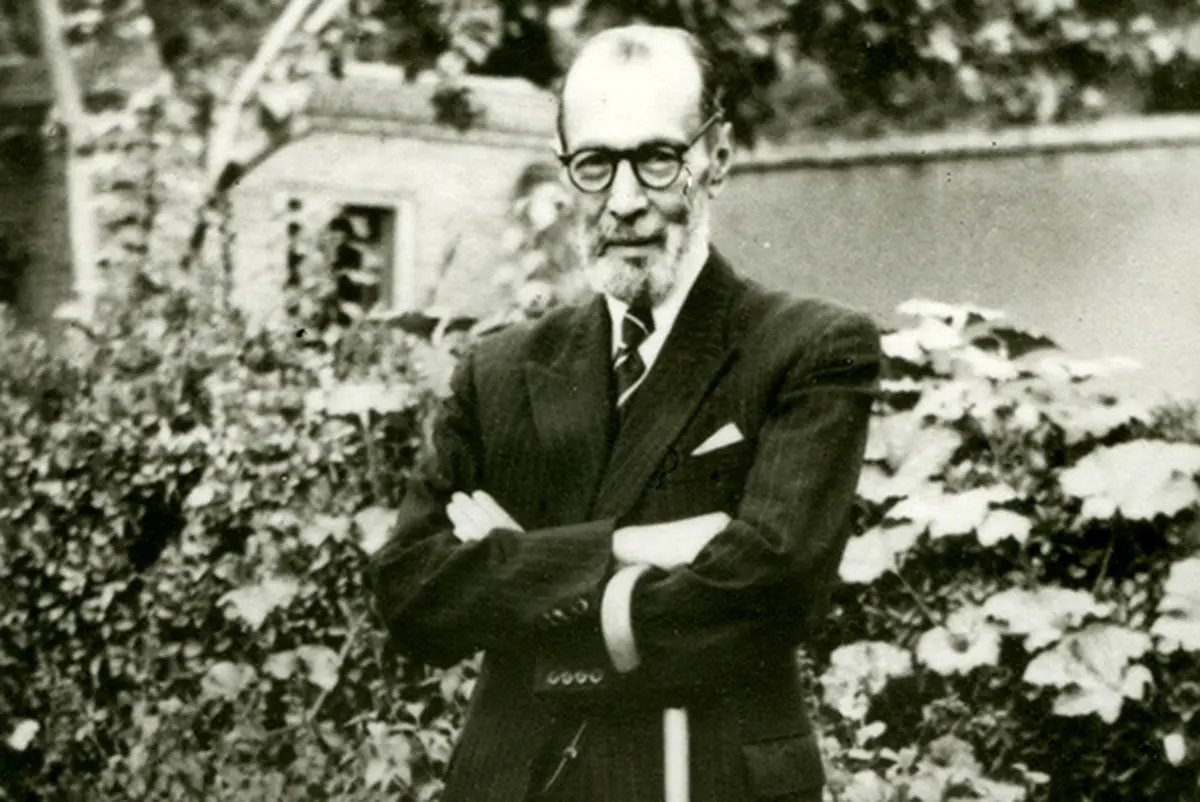 یادداشت| توت هرات است پدر سوخته!