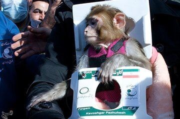 سرنوشت میمون‌های فضانورد ایرانی ۱۲ سال پس از پرتاب