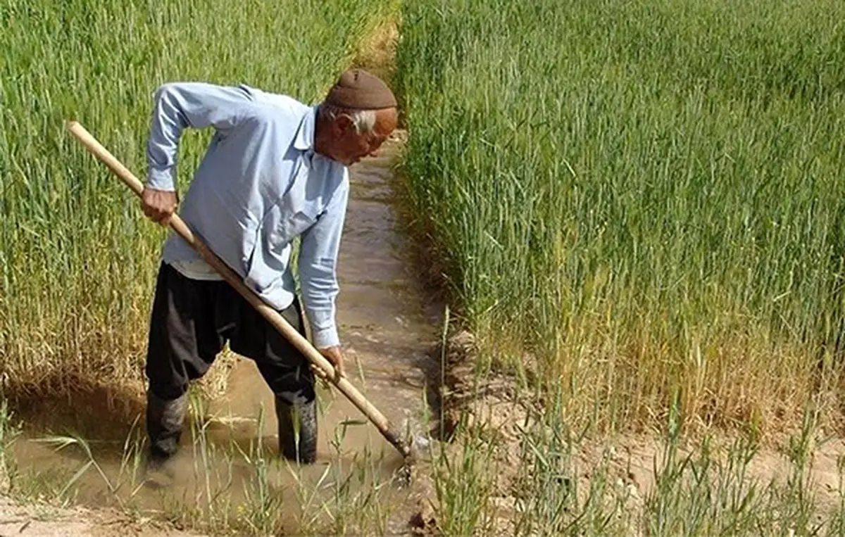 دو باور اشتباه در دعاوی ملکی